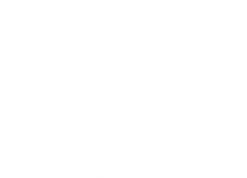 tackle-football.de